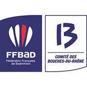 Comité de badminton